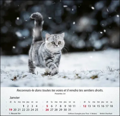 Le 11 décembre 2024 tombera un :