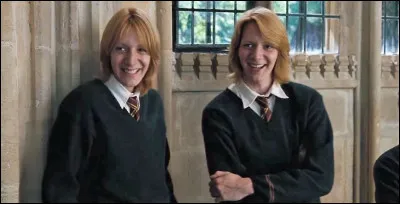 N°6 Fred et George Weasley 
Comment s’appelle leur père ?