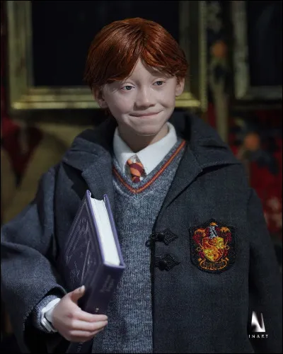 N°5 Ron Weasley 
Il est allé au bal avec Lavande Brown.