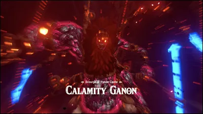 Il est obligatoire de tuer les quatre Ombres avant d'affronter Ganon, le boss final.
