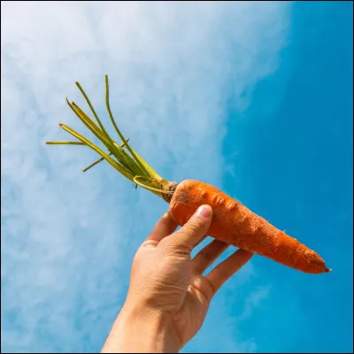 Quel est lindice glycémique des carottes crues ?