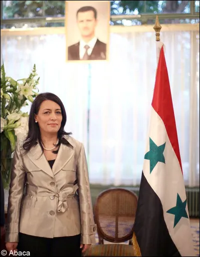 La fermeture de l'ambassade de France à Damas est suivie deux mois et demie plus tard de l'expulsion de Lamia Chakkour, ambassadrice de Syrie à Paris : en quelle année était-ce ?