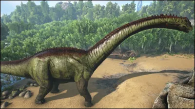 Pourquoi ne faut-il pas avoir trop de diplodocus ?