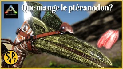 Quelle nourriture est la plus facile à avoir ?