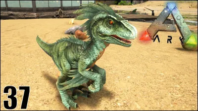 Comment peut-on avoir un bébé dino ?