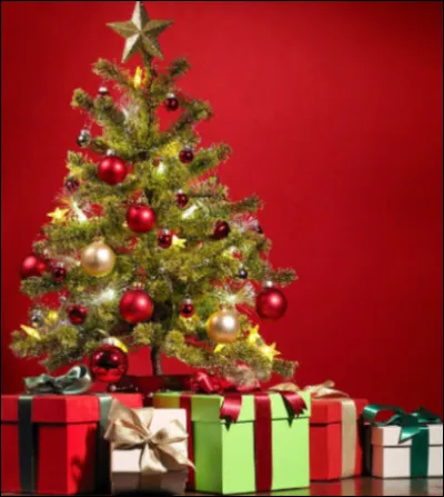 Que repr&eacute;sente cette image ?