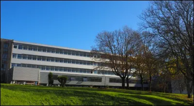 Avec quoi le nom suggéré par l'illustration est-il en rapport ?
On parle toujours d'homophonie.