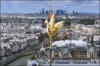 À quelle hauteur est placé le coq de Notre-Dame de Paris ?