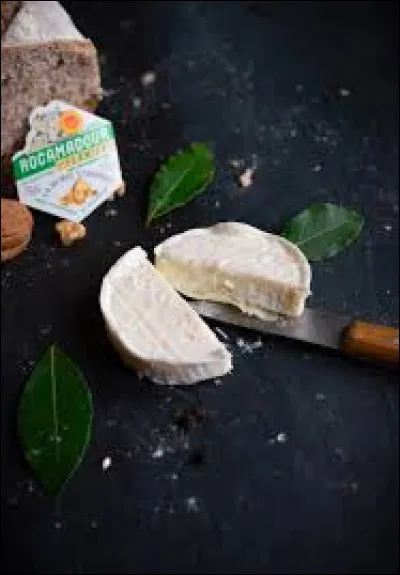 Dans quel département se situe le village de Rocamadour ?