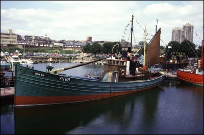 Quels poissons sont pris dans les filets des harenguiers ?