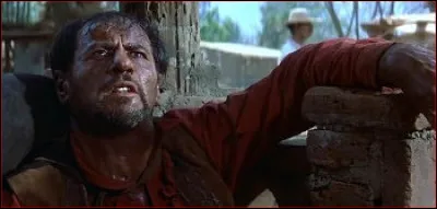 Que dit Calvera (Eli Wallach) aux mercenaires juste avant de mourir ?