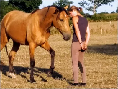 Quelle est cette robe ?