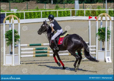 Quelle est cette robe ?