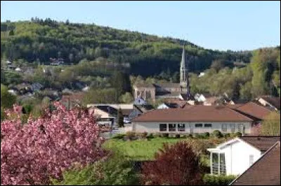 Nous partons en Lorraine, à Raon-aux-Bois. Commune de l'aire d'attraction Spinalienne, liée au coureur cycliste Julien Absalon, elle se situe dans le département ...