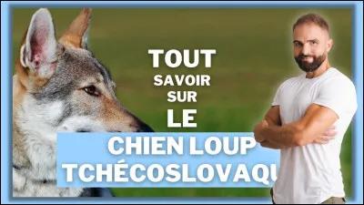 Quel est cet animal ?