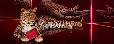 Quelle marque est représentée par une panthère ?