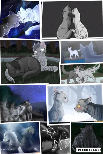 Qui sont ses compagnes ?