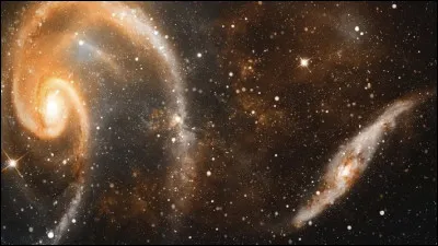 Préfères-tu les chiens ou les chats ?