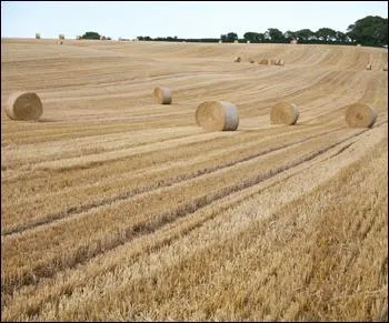 A combien de mtres carrs correspond un are ?