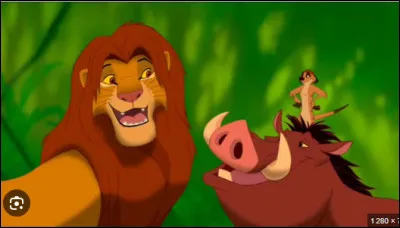 Est-ce que tu as des ami(e)s ?