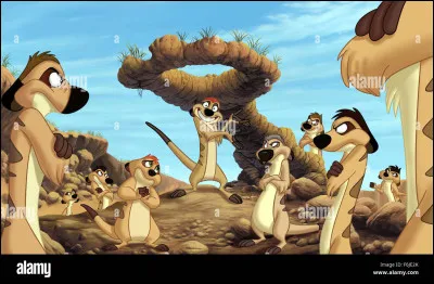 Enfin, qu'est-ce que tu préfères entre ces choix ?