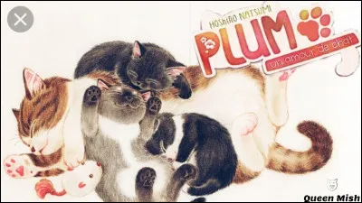 Quel chat est le plus intelligent ?