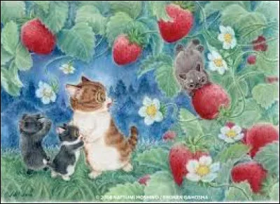 Quel sont les chats qui apparaissent dans le r&ecirc;ve de Plum ?(ils n'apparaissent qu'une fois )