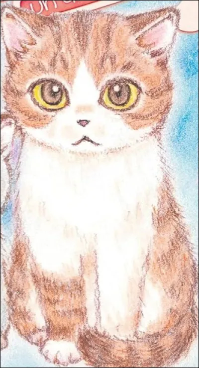 Quelle est la la datte de naissance, de mort ,le signe astrologique et la cause de sa mort &agrave; Sakura (Chatte qui a inspir&eacute; Plum)