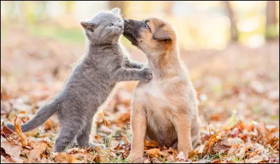 Trouvez la rime : Son d&eacute;part, son absence - Sont pour moi le cercueil - Et loin de sa pr&eacute;sence ...