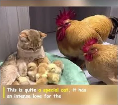 Paris a gagn&eacute; sa r&eacute;putation de ville romantique, pour le v&eacute;rifier, prenez la direction ...