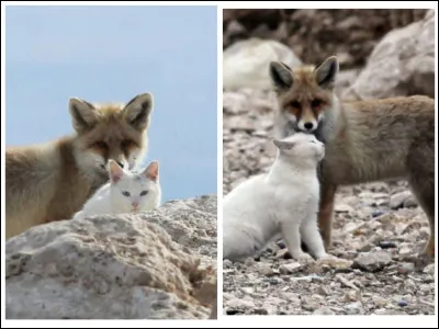 On passe une moiti&eacute; de sa vie &agrave; attendre ceux qu'on aimera et l'autre moiti&eacute; &agrave; quitter ceux qu'on aime !