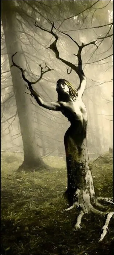 Pour avoir offensé la nymphe Lotis, cette très belle princesse sera métamorphosée en arbre. Qui est-elle ?