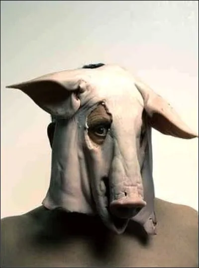 Quelle puissante magicienne méthamorphosa les compagnons d'Ulysse en porcs ?