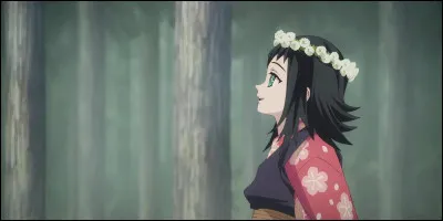 Génial, tu es accepté à Poudlard. Mais cette année-là, petit changement, tu choisis la maison où tu veux aller. Laquelle choisis-tu ?