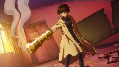 Quel est son pouvoir ?