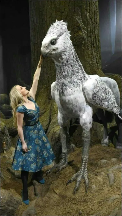 Que préfères-tu chez Luna ?