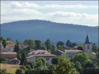 Commune d'Auvergne-Rh&ocirc;ne-Alpes, dans l'aire d'attraction St&eacute;phanoise, Tarentaise se situe dans le d&eacute;partement ...