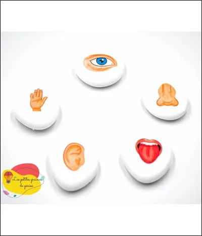 Il/elle a des sens surd&eacute;velopp&eacute;s�