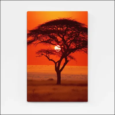 Quel est ton moment pr&eacute;f&eacute;r&eacute; de la journ&eacute;e ?