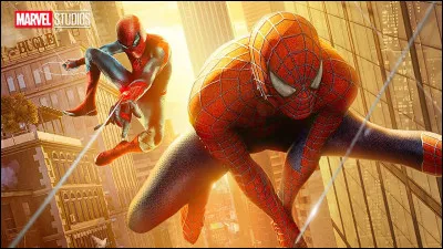 Quel acteur pr&eacute;f&egrave;res-tu ?