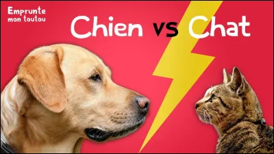 Tu pr&eacute;f&egrave;res :