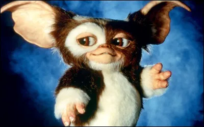 Dans « Gremlins » de Joe Dante paru en 1994, qui est le premier mogwaï que rencontre Billy ? C'est celui qui reste gentil.