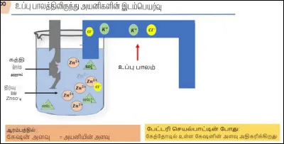Quel est le rôle du pont salin dans une pile électrochimique ?