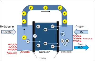 Quelles piles utilisent le dihydrogène et le dioxygène de l'air comme réactifs ?