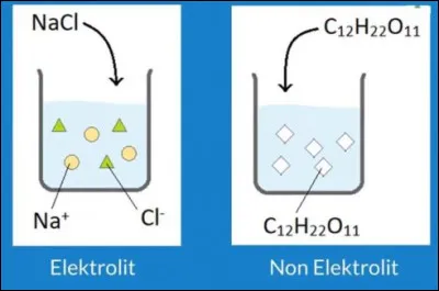 Quel est le rôle d'un électrolyte dans une pile ?