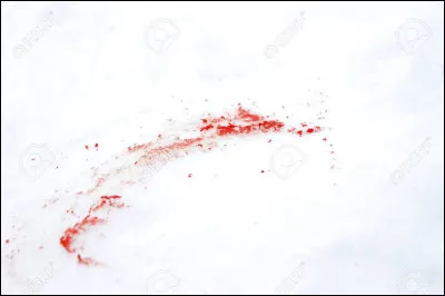 Que se passe-t-il dans la première scène ?