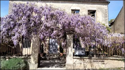 De quoi ont peur les démons ?