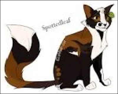 Quel est le nom de chaton de Petite Feuille ?