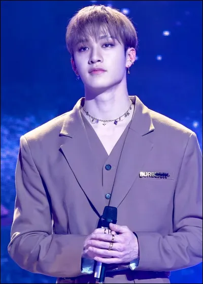 Quel âge a-t-il ? ( décembre 2024 )