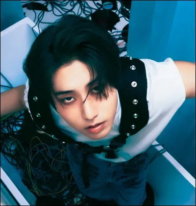 Quelle chanson de Stray Kids préfères-tu ?